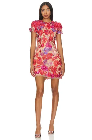 ELLIATT Performance Dress, Red & Nude